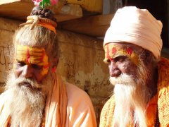Voyage organis en  Inde de 2 semaines (Novembre 2010) racont par kokiyage