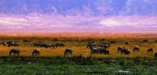 Photo de voyage en  Tanzanie