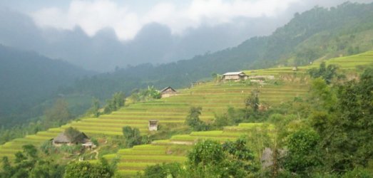 Photo de voyage au  Viet Nam