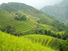 Trekking au  Viet Nam de 2 semaines (Septembre 2008) racont par Laeti91