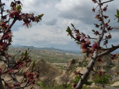 Voyage organis en  Turquie de 1 semaine (Avril 2011) racont par kokiyage
