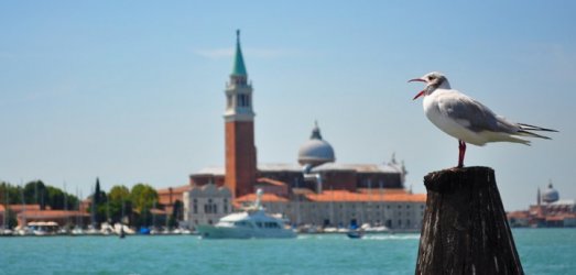 Photo de voyage   Venise (Italie)