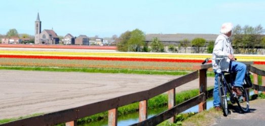 Photo de voyage en  Pays-Bas