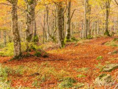 Voyage au  Languedoc-Roussillon de 1 week-end (Octobre 2017) racont par anonyme_108252