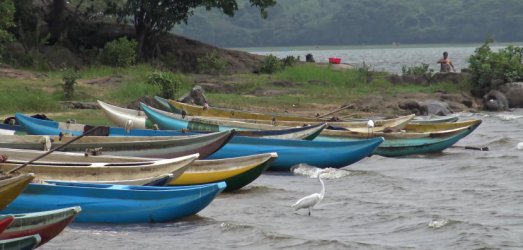 Photo de voyage au  Sri Lanka