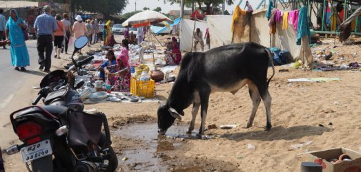 Photo de voyage en  Inde