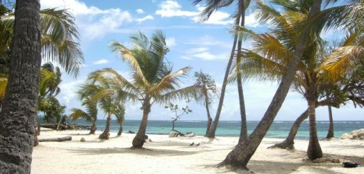 Photo de voyage en  Guadeloupe