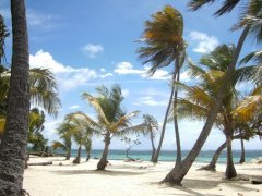 Voyage chez l'habitant en  Guadeloupe de 2 semaines (Septembre 2008) racont par alexvodou
